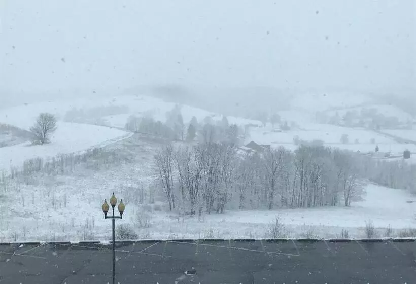 Hotelli Carlisle Inn Walnut Creek