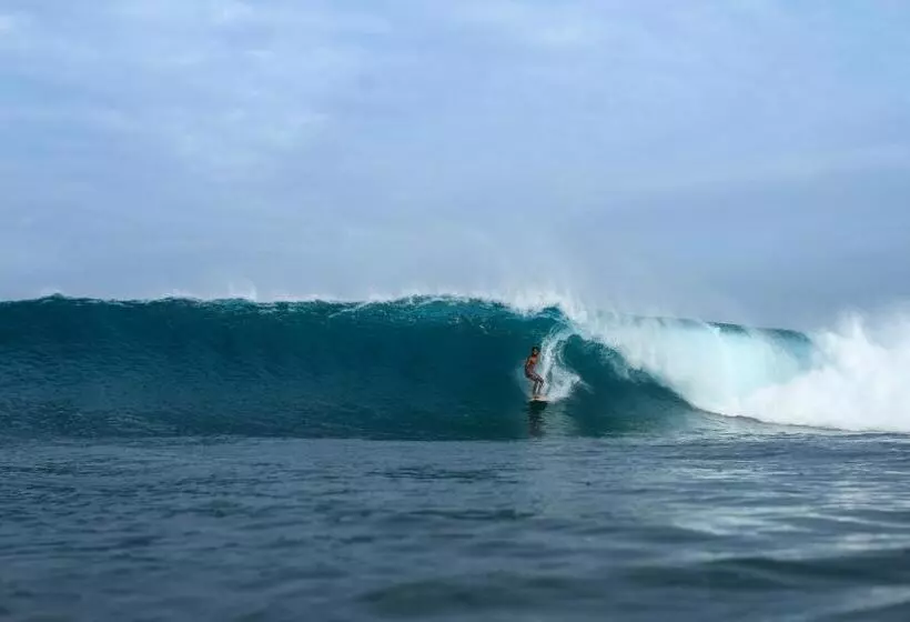 پانسیون Bito S Gh