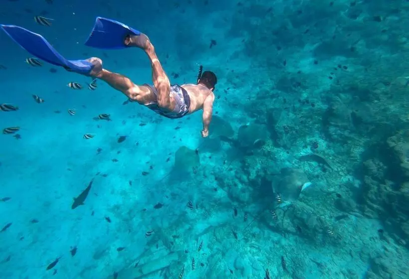 پانسیون Bito S Gh