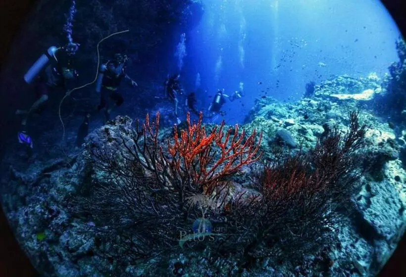 پانسیون Bito S Gh