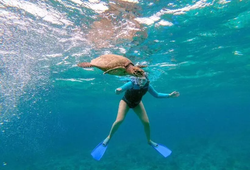 پانسیون Bito S Gh