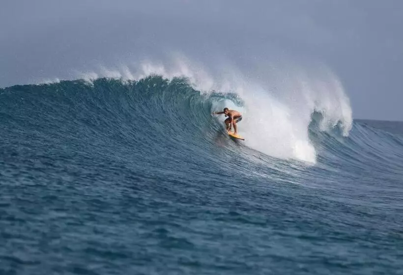 پانسیون Bito S Gh