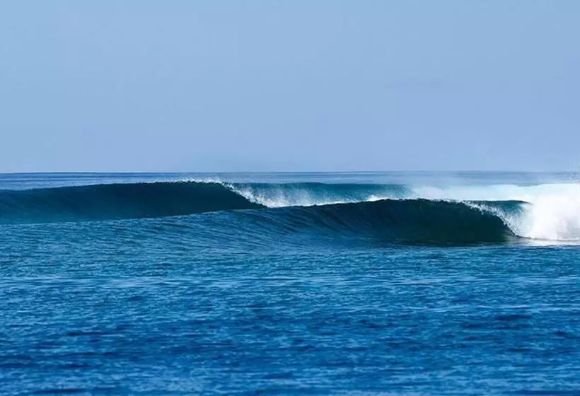 پانسیون Bito S Gh