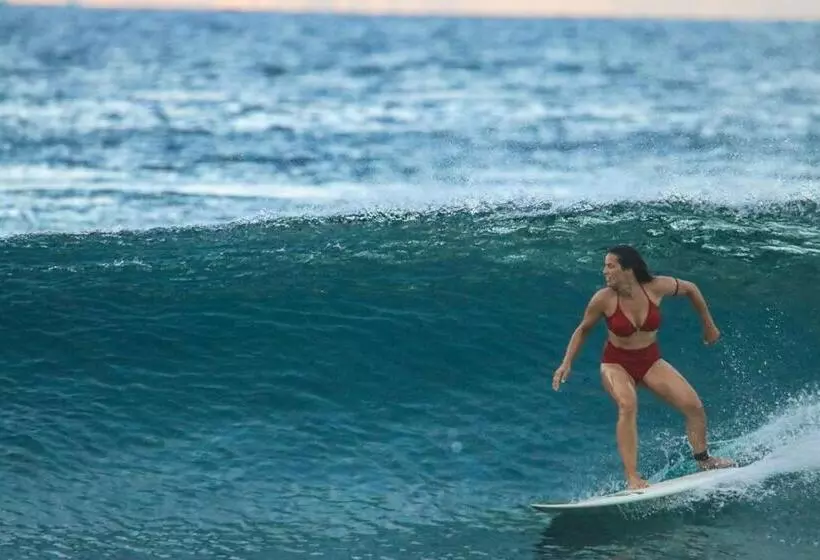 پانسیون Bito S Gh