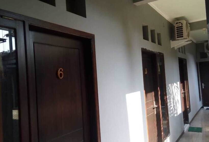 Пансион Colorbox House