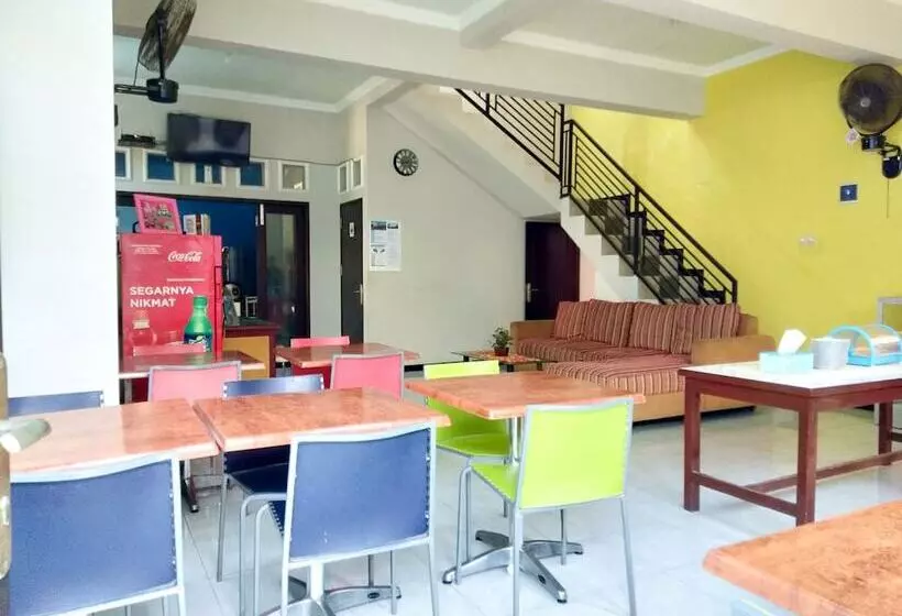 Pension Colorbox House