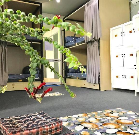 هتل کپسول Win Win Hostel