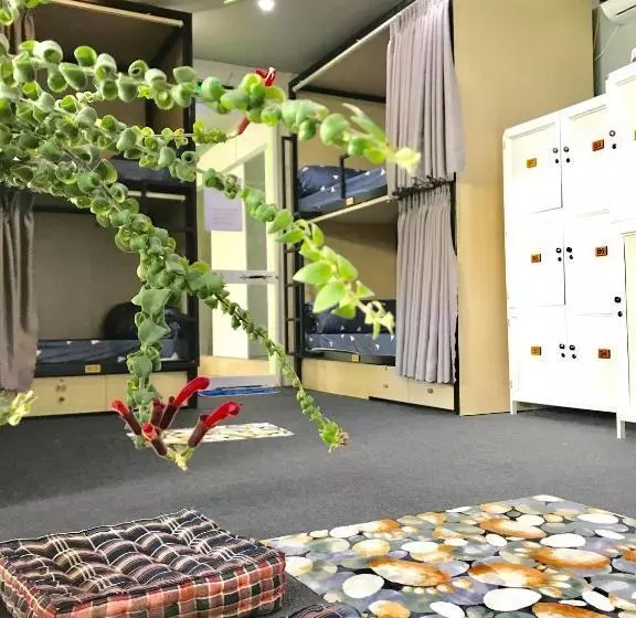 カプセルホテル Win Win Hostel