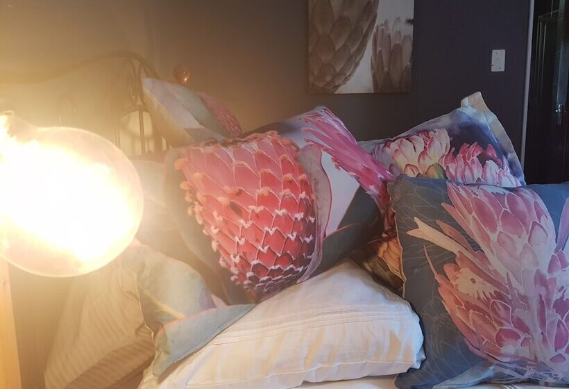 Pension 440@brooklyn