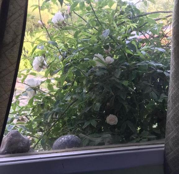 Pension Aguilar House Hostel B&b