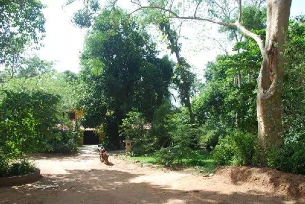 پانسیون Isai Ambalam Guest House