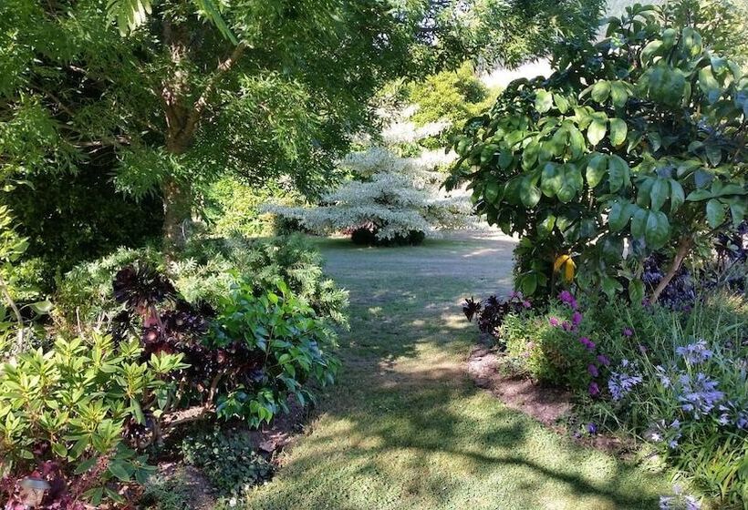 بنسيون Matai Huka Boutique Accommodation