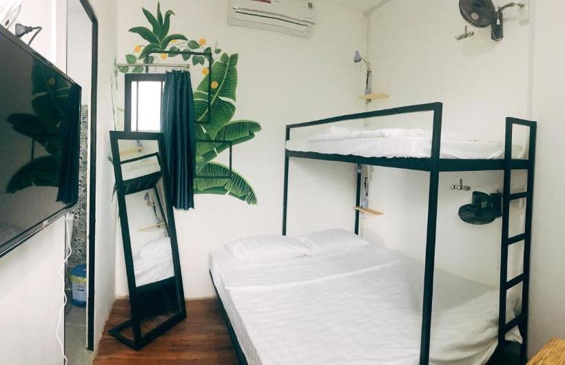 پانسیون The Local House Phu Yen