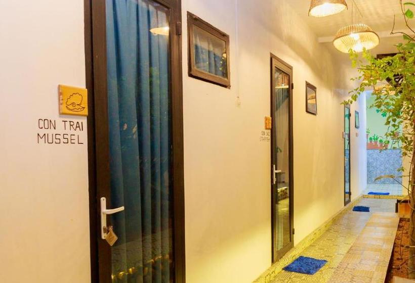 پانسیون The Local House Phu Yen