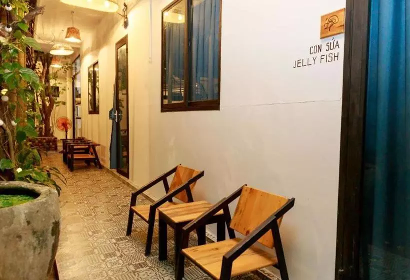 پانسیون The Local House Phu Yen