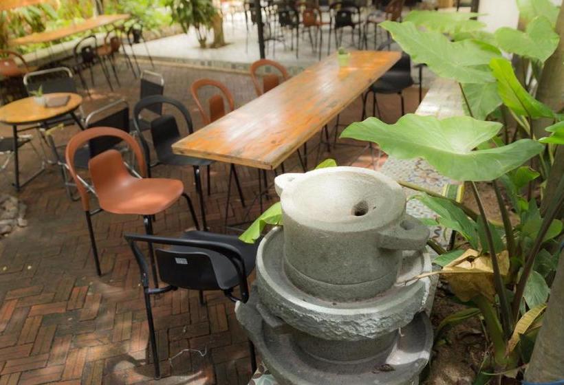 پانسیون The Local House Phu Yen