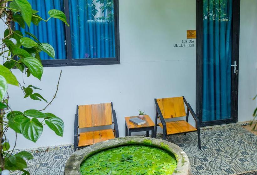 پانسیون The Local House Phu Yen