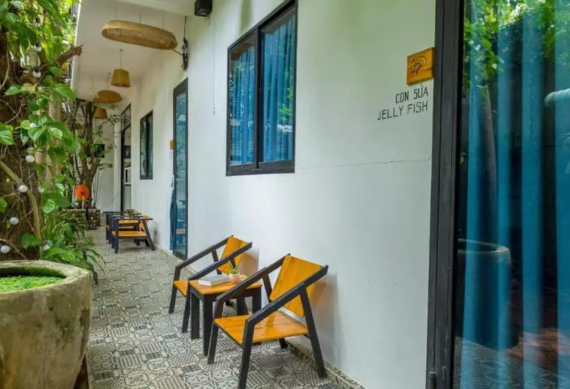 پانسیون The Local House Phu Yen