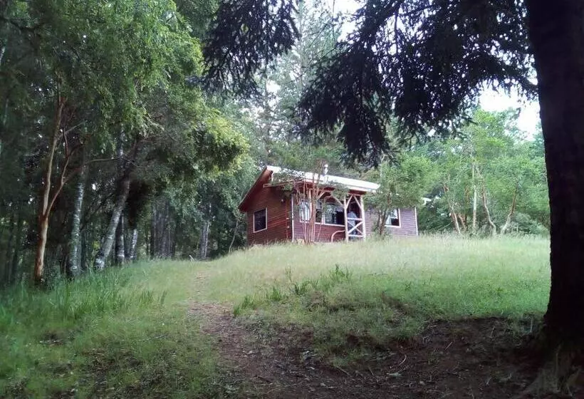 ホテル Los Encinos De Chancoyan