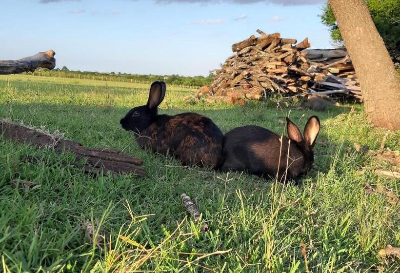 Herberge Posada Del Pio, Granja