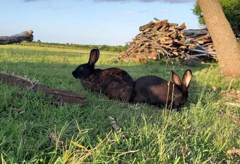 Retkeilymaja Posada Del Pio, Granja