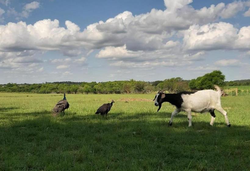 Herberge Posada Del Pio, Granja