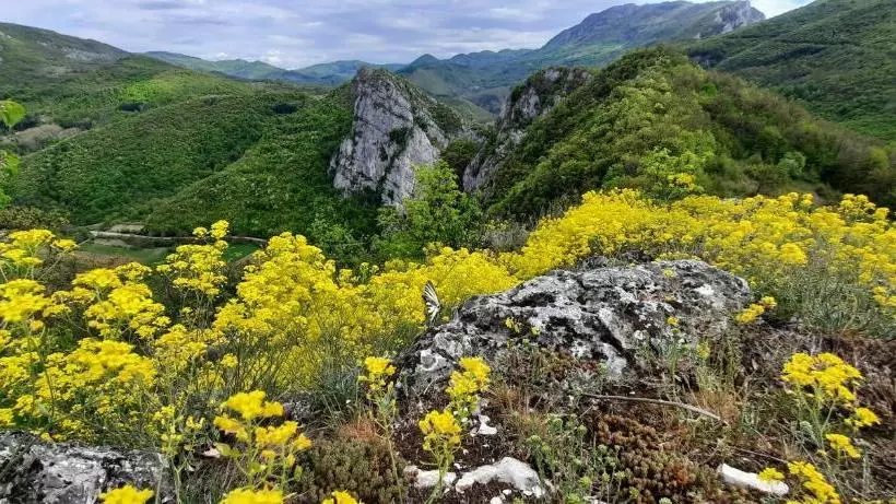 هتل Golemi Kamik Pirot