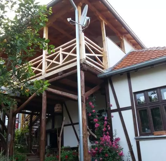 هتل Golemi Kamik Pirot