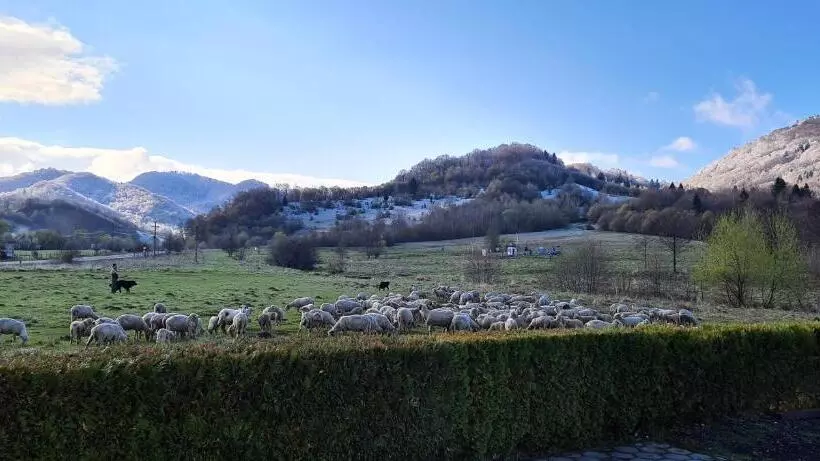 Majatalo Poiana Rasnoavei