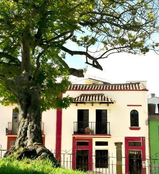 هاستل Aroma Del Bosque Posada Cafe