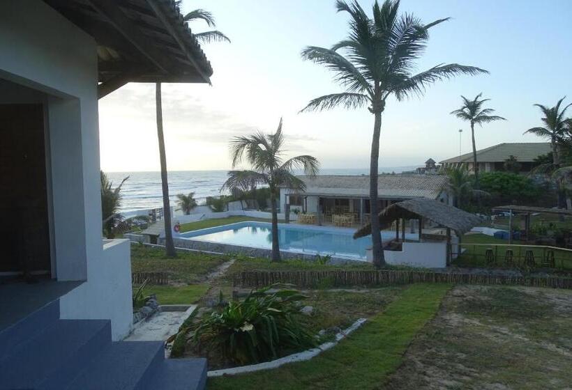 بنسيون Wegokite Stars