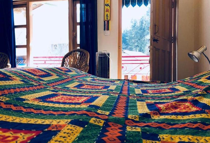 هاستل The Crazy Indian Pad