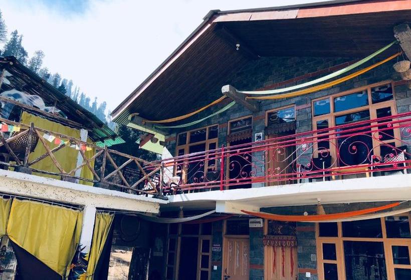 هاستل The Crazy Indian Pad