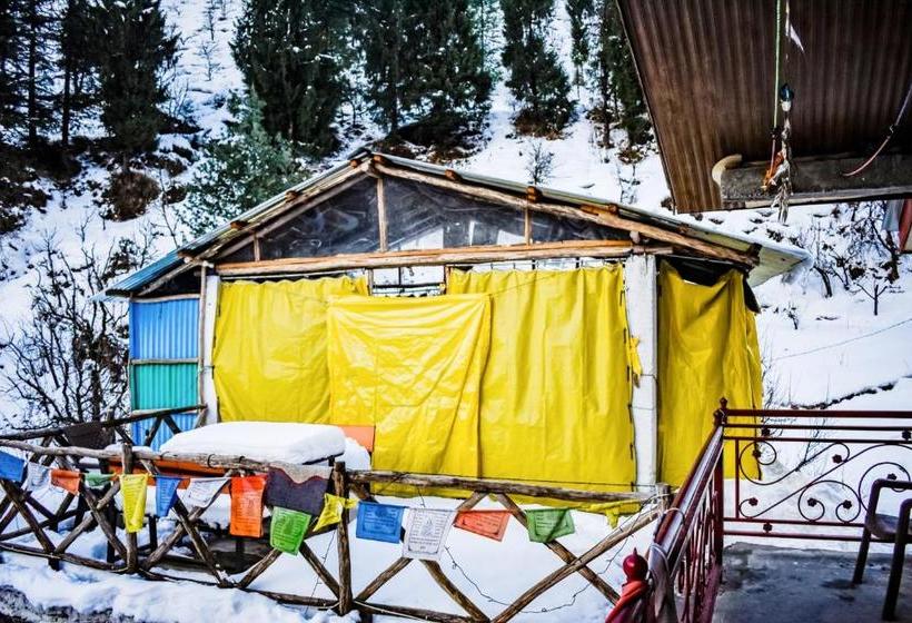 هاستل The Crazy Indian Pad