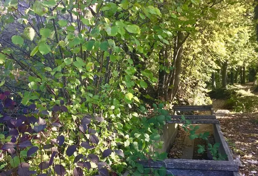 B&b La Forge De Diogne