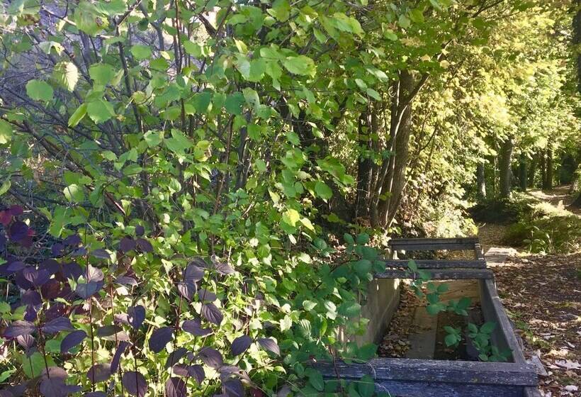 B&b La Forge De Diogne