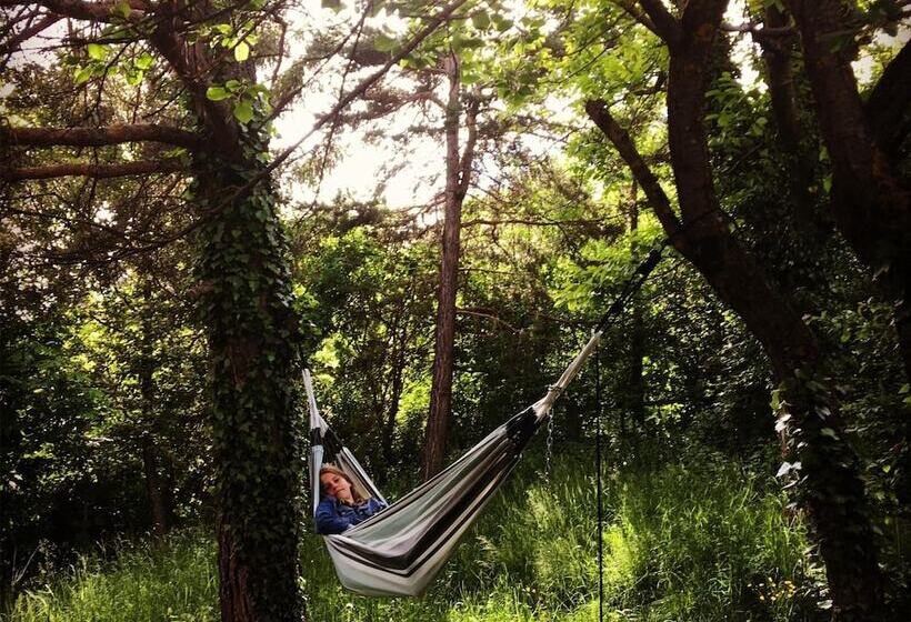 B&b La Forge De Diogne