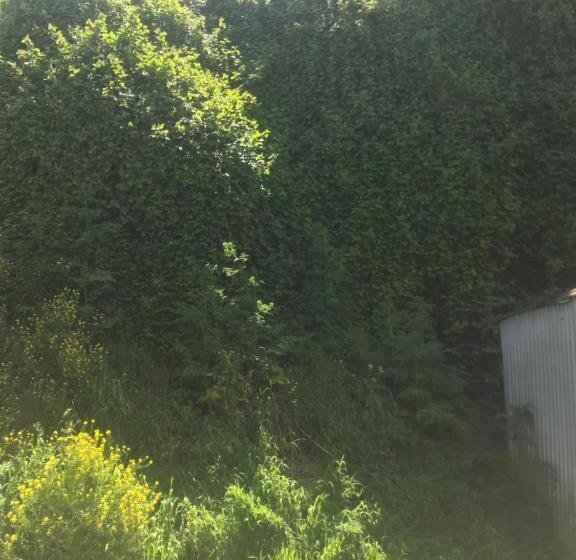 پانسیون Hospedaje Vista Al Mar 39