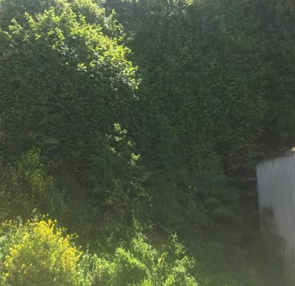 ペンション Hospedaje Vista Al Mar 39