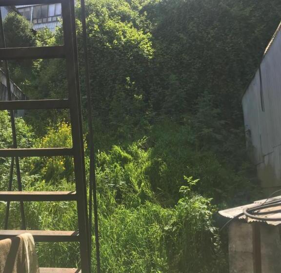 پانسیون Hospedaje Vista Al Mar 39