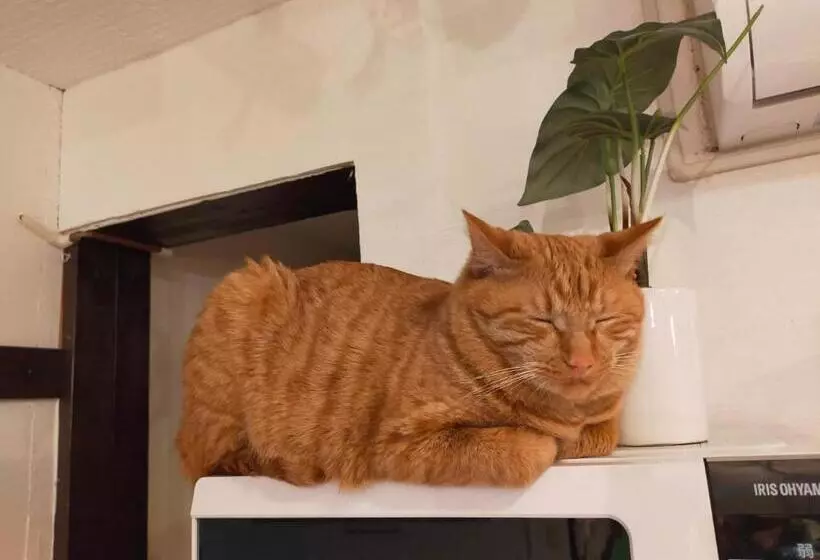 Majatalo Asahikawa Ride