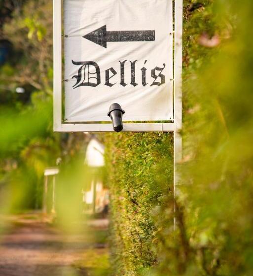 膳宿费 Pousada Déllis