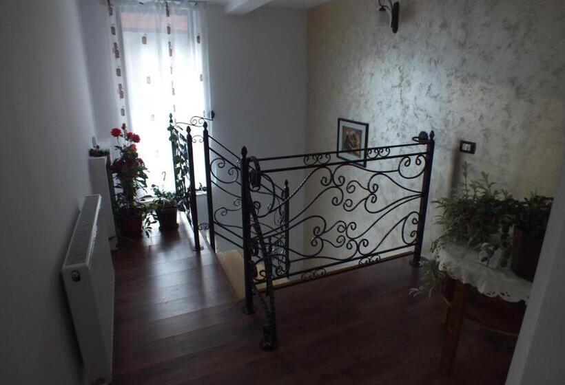 Pensiunea Casa Pancu