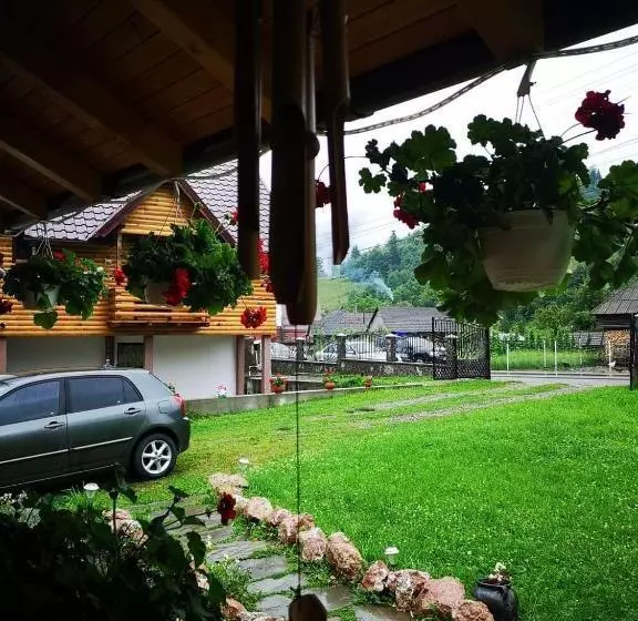 Pensiunea Casa Pancu