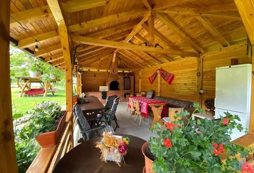 Pensiunea Casa Pancu