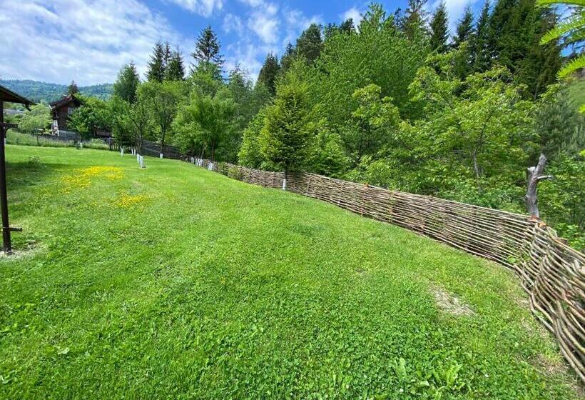 Pensiunea Casa Pancu