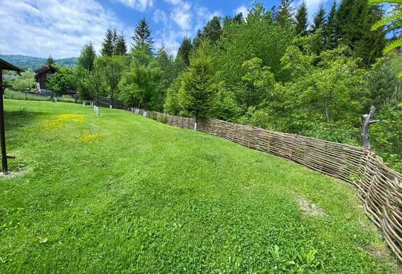 Pensiunea Casa Pancu