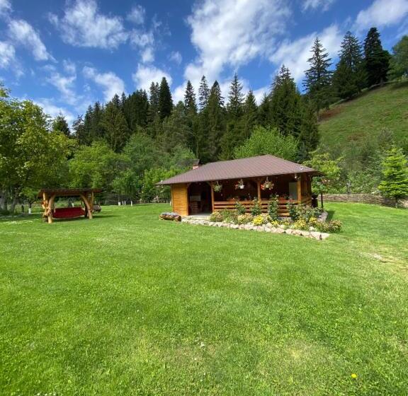 Pensiunea Casa Pancu