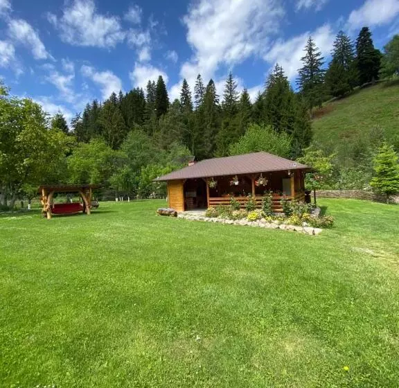 Pensiunea Casa Pancu