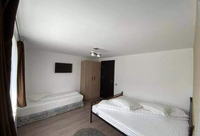 Pensiunea Casa Pancu